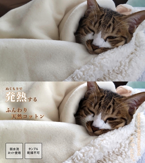 ネコチャン